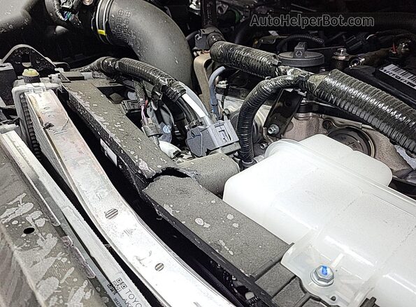 3TYLC5LN7ST032473 2025 TOYOTA TACOMA HYBRID  Rear view