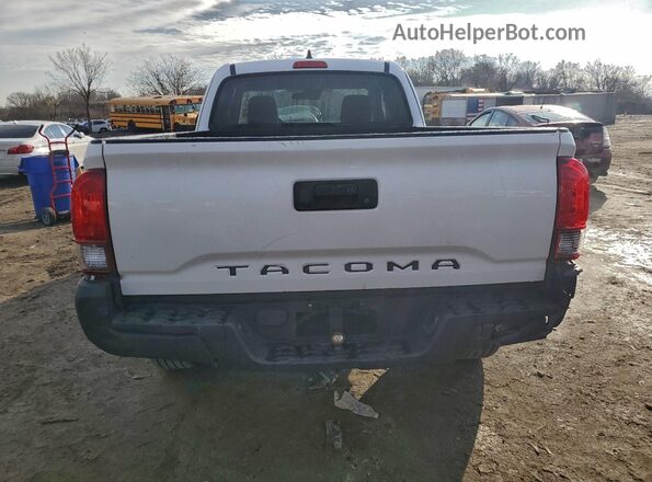 3TYRX5GN9MT017095 2021 TOYOTA TACOMA Белый Вид сзади