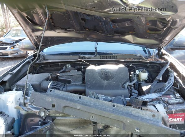 3TYSZ5AN0LT004481 2020 TOYOTA TACOMA Gray უკანა ხედი