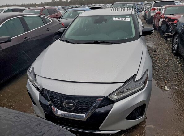 1N4AA6CV7LC367904 2020 NISSAN MAXIMA Silver Widok z tyłu