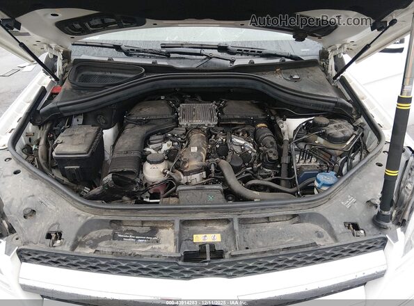 4JGDF6EE6GA696399 2016 MERCEDES-BENZ GL 450 White Widok z tyłu