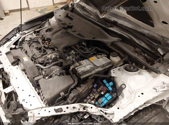 4T1G11AK1RU219570 2024 TOYOTA CAMRY Белый 