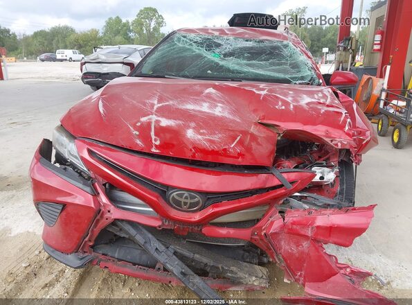 4T1G11AK8LU347392 2020 TOYOTA CAMRY Red 