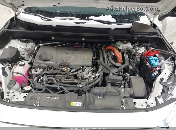 4T3E6RFV8MU045555 2021 TOYOTA RAV4 HYBRID White Widok z tyłu