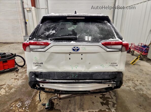 4T3E6RFV8NU075902 2022 TOYOTA RAV4 White Widok z tyłu
