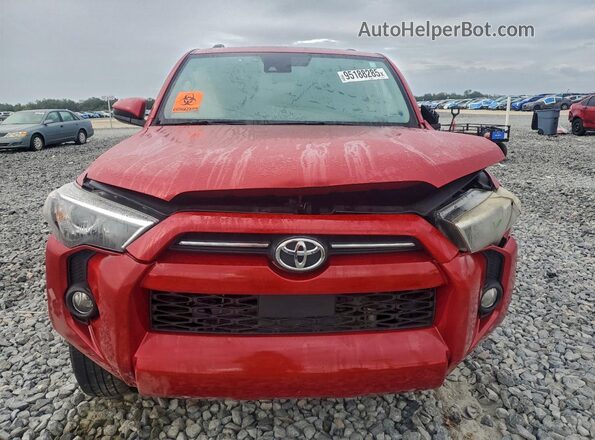 JTEEU5JRXN5256186 2022 TOYOTA 4RUNNER Красный Вид сзади