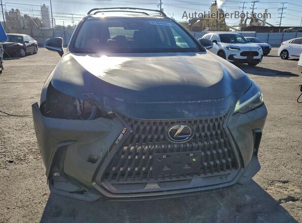 2T2ADCAZ1RC012020 2024 LEXUS NX 250 BAS Зеленый Вид сзади
