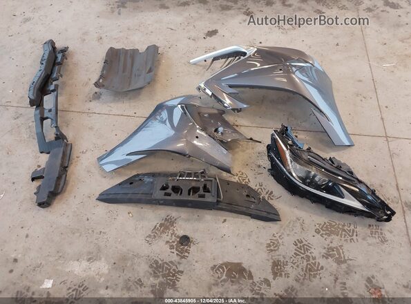 58AD11D10MU003989 2021 LEXUS ES 250 Gray Instrument cluster view