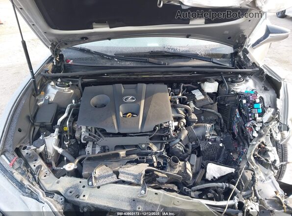 58AD11D19MU007457 2021 LEXUS ES 250 Gray Widok z tyłu