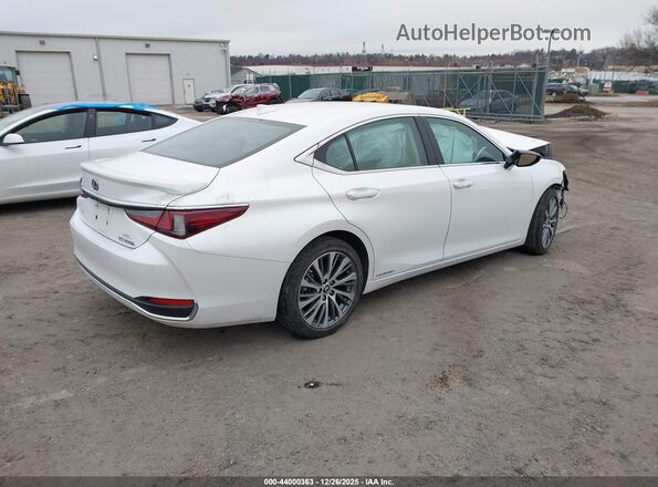 58AD21B12LU012191 2020 LEXUS ES 300H White უკანა მარჯვენა