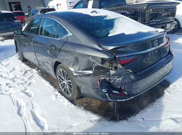 58ADA1C15NU024694 2022 LEXUS ES 300H Gray Հետևի ձախ