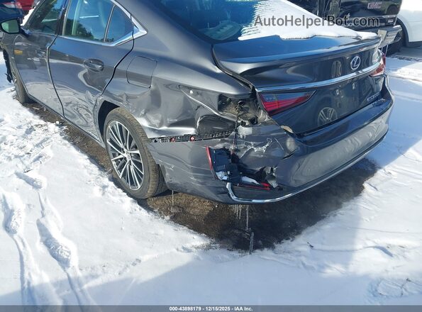58ADA1C15NU024694 2022 LEXUS ES 300H Gray Դիմացի տեսք