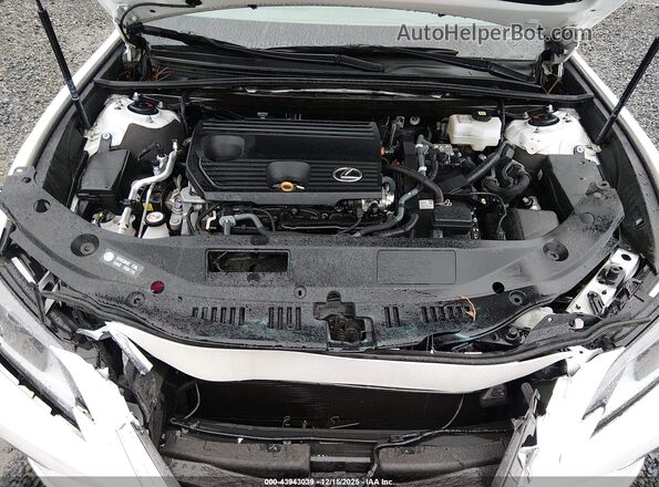 58ADA1C17PU031262 2023 LEXUS ES 300H White Vista trasera