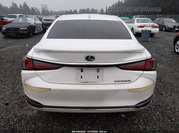 58ADA1C17PU031262 2023 LEXUS ES 300H White 