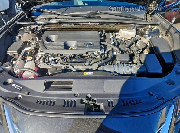 58ADA1C17RU043169 2024 LEXUS ES Black Вид задньої частини салону