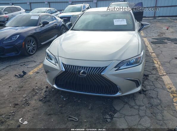 58ADZ1B10LU064303 2020 LEXUS ES 350 Gold 