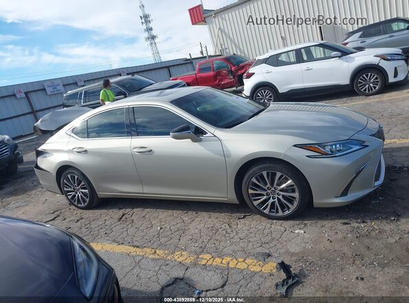 58ADZ1B10LU064303 2020 LEXUS ES 350 Gold 