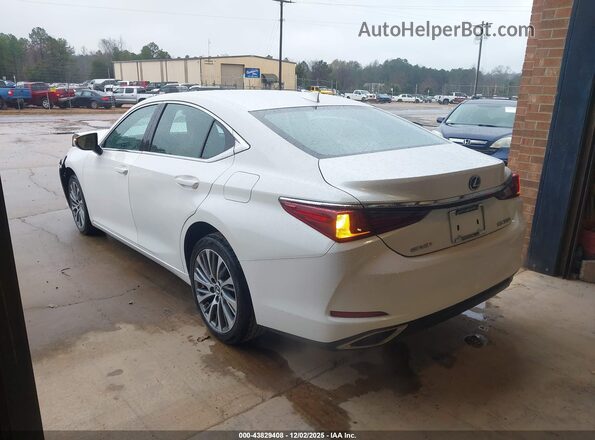 58ADZ1B15LU055533 2020 LEXUS ES 350 White Հետևի ձախ