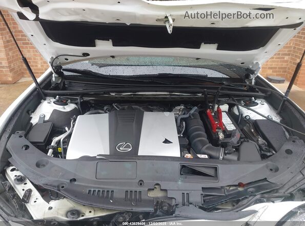 58ADZ1B15LU055533 2020 LEXUS ES 350 White Հետևի տեսք
