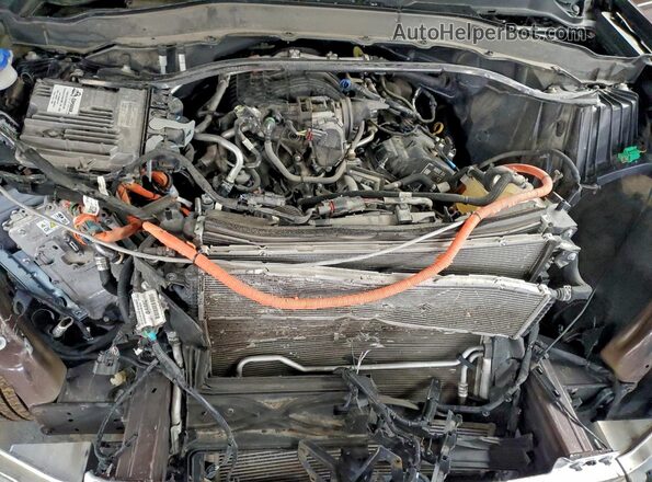 1FM5K8AW4NNA04298 2022 FORD FORD EXPLORER Brown VIN կոդի պիտակի տեսք
