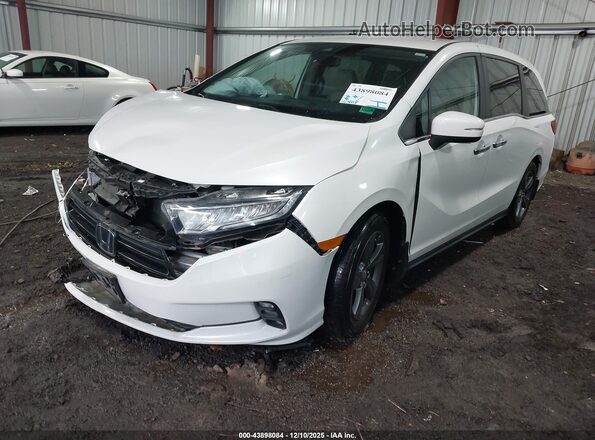5FNRL6H51NB033227 2022 HONDA ODYSSEY Белый Передняя левая четверть