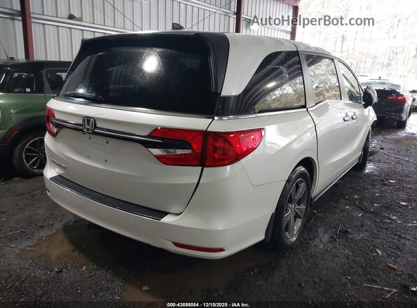 5FNRL6H51NB033227 2022 HONDA ODYSSEY Белый Задняя правая четверть
