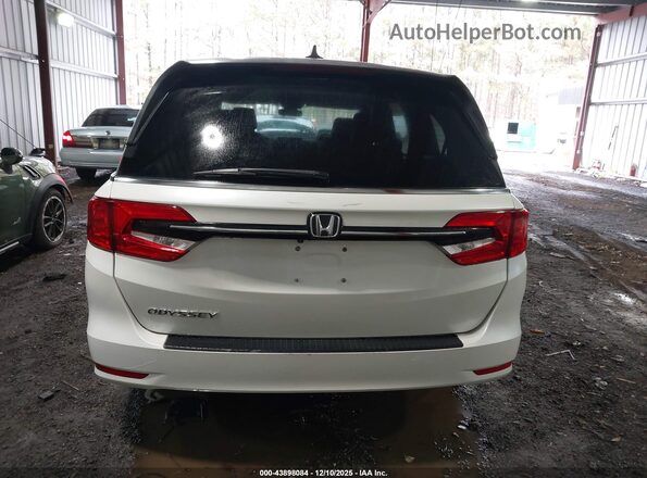 5FNRL6H51NB033227 2022 HONDA ODYSSEY Белый 