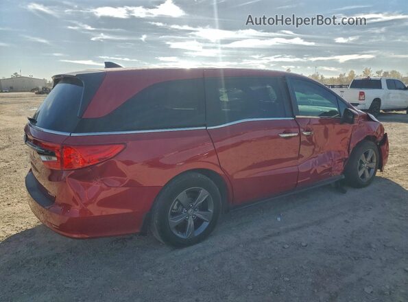 5FNRL6H51RB074074 2024 HONDA ODYSSEY Burgundy უკანა მარჯვენა