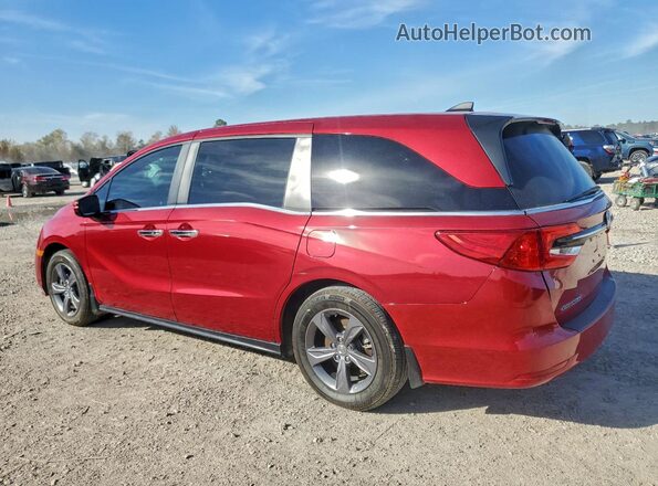 5FNRL6H51RB074074 2024 HONDA ODYSSEY Burgundy უკანა მარცხენა