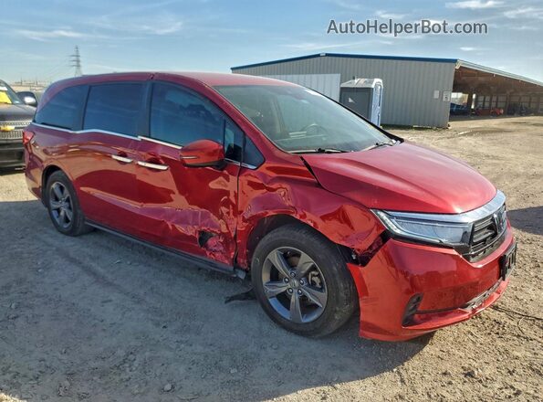 5FNRL6H51RB074074 2024 HONDA ODYSSEY Burgundy წინა მარჯვენა