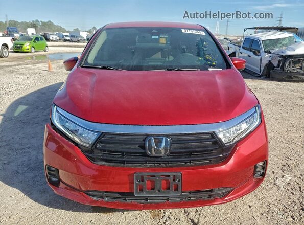 5FNRL6H51RB074074 2024 HONDA ODYSSEY Burgundy წინა ხედი