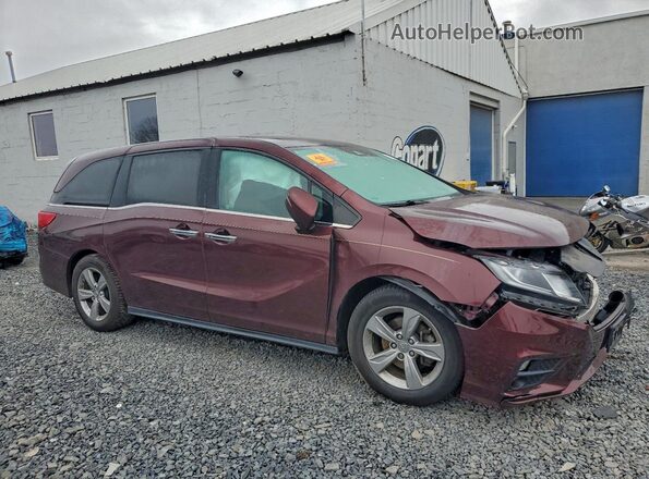 5FNRL6H54LB054988 2020 HONDA ODYSSEY Burgundy Առջևի աջ
