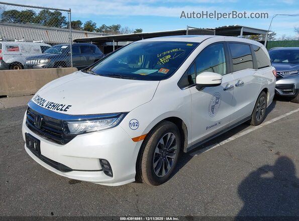 5FNRL6H60RB070333 2024 HONDA ODYSSEY White Przód lewy