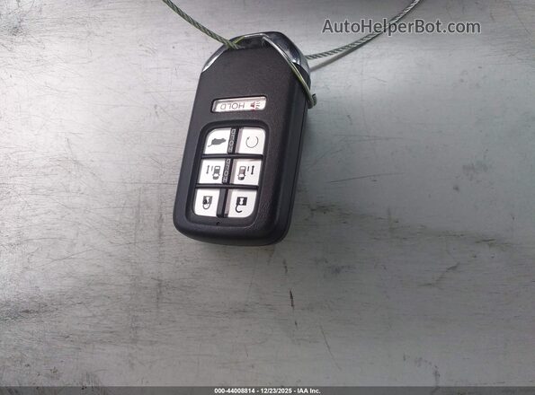 5FNRL6H66RB067646 2024 HONDA ODYSSEY Blue წინა პანელის ხედი