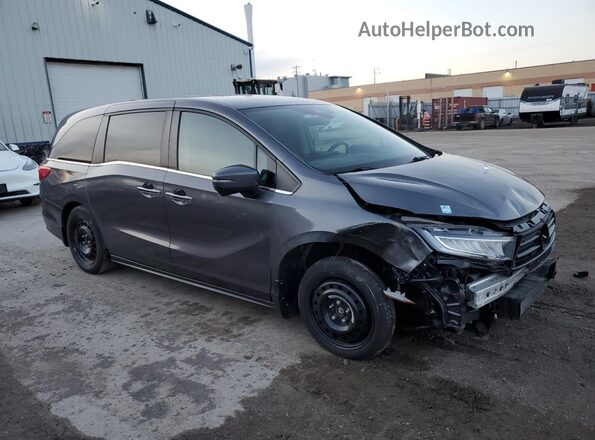 5FNRL6H6XMB500264 2021 HONDA ODYSSEY Серый 