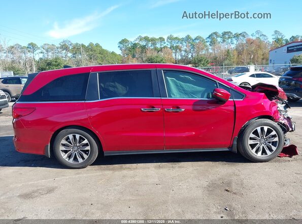 5FNRL6H6XRB072753 2024 HONDA ODYSSEY Красный Вид задней части салона