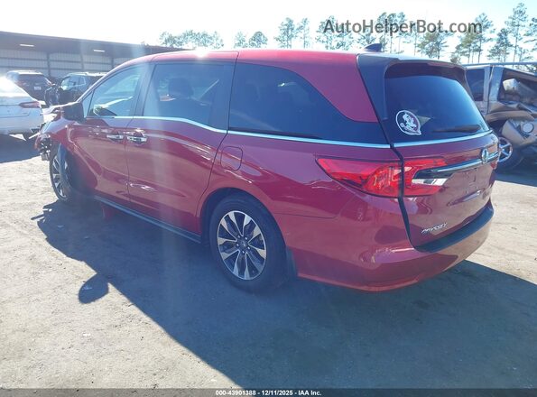 5FNRL6H6XRB072753 2024 HONDA ODYSSEY Красный Задняя левая четверть