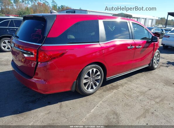 5FNRL6H6XRB072753 2024 HONDA ODYSSEY Красный Задняя правая четверть