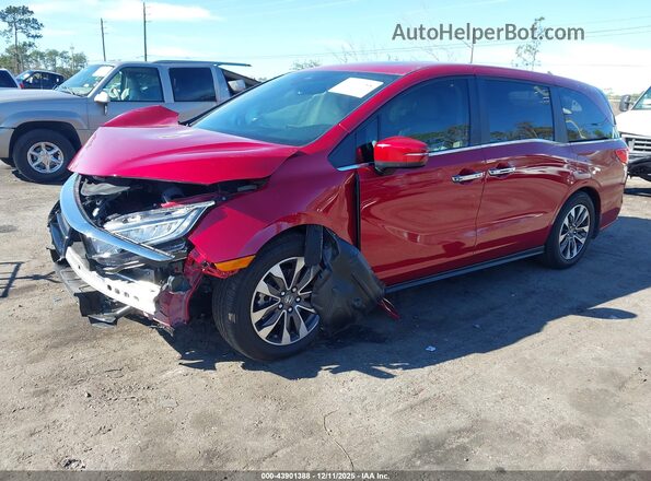 5FNRL6H6XRB072753 2024 HONDA ODYSSEY Красный Передняя левая четверть