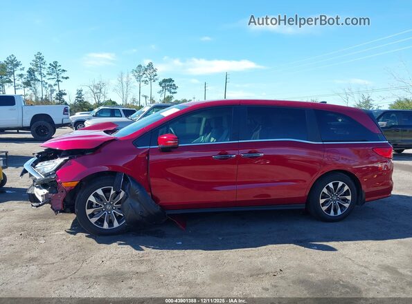 5FNRL6H6XRB072753 2024 HONDA ODYSSEY Красный Панорамный вид салона 360°