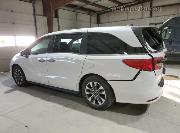 5FNRL6H71MB039822 2021 HONDA ODYSSEY Белый Задняя левая четверть