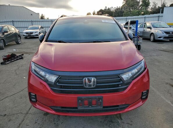 5FNRL6H75PB054926 2023 HONDA ODYSSEY Red 