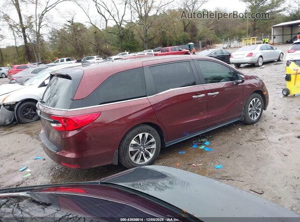 5FNRL6H76MB016245 2021 HONDA ODYSSEY Red Հետևի աջ