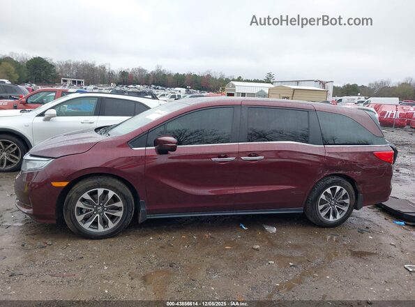 5FNRL6H76MB016245 2021 HONDA ODYSSEY Red Սալոնի 360 աստիճան տեսք