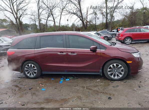5FNRL6H76MB016245 2021 HONDA ODYSSEY Red Սալոնի հետևի տեսք