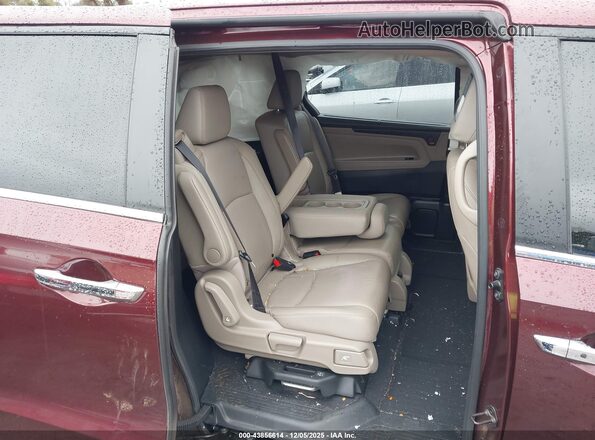 5FNRL6H76MB016245 2021 HONDA ODYSSEY Red VIN կոդի պիտակի տեսք