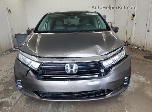 5FNRL6H77MB021065 2021 HONDA ODYSSEY Brown 