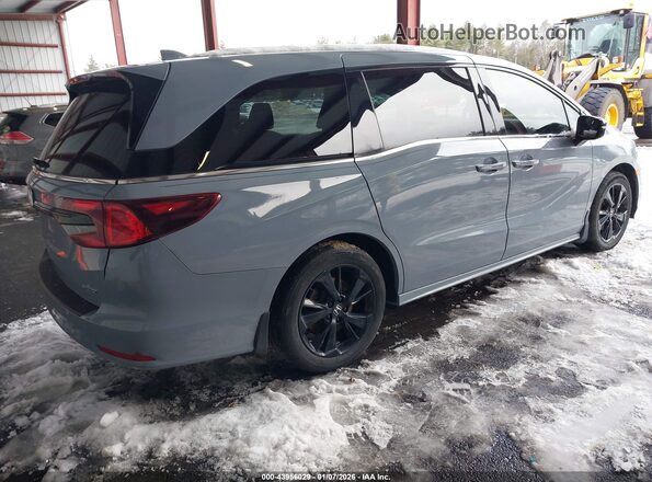 5FNRL6H77PB031907 2023 HONDA ODYSSEY Серый Задняя правая четверть