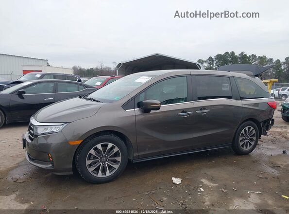5FNRL6H78NB035493 2022 HONDA ODYSSEY Gray Панорамний вид салону 360°