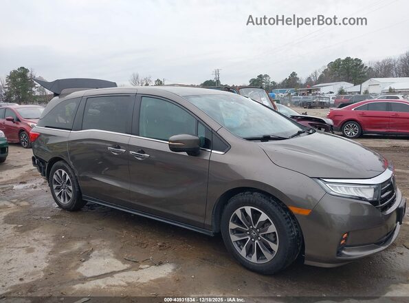 5FNRL6H78NB035493 2022 HONDA ODYSSEY Gray Вид задньої частини салону